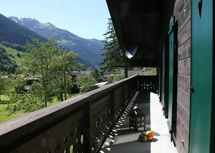 Heidi بارتنين